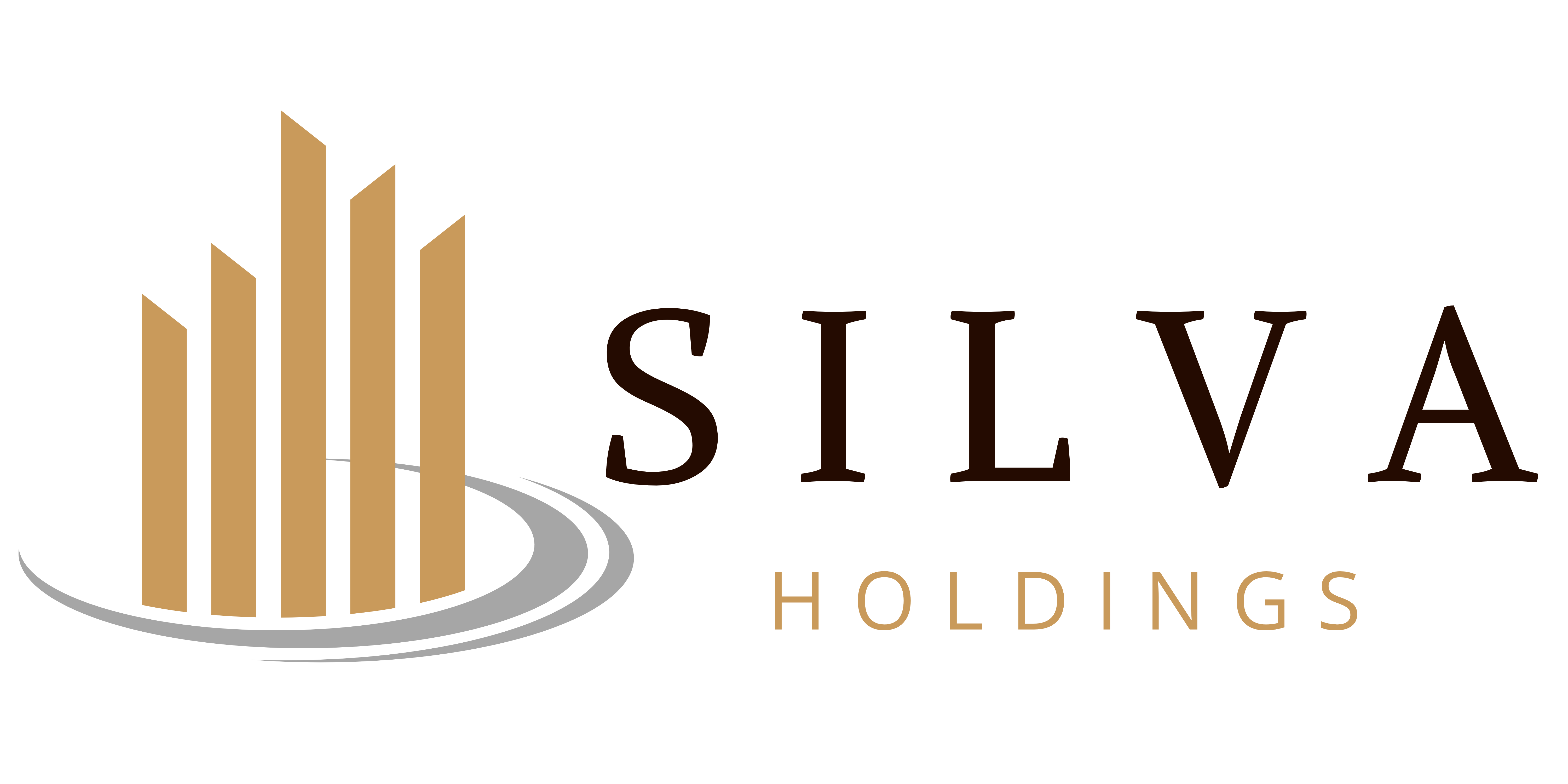 Silva Holdings Logo