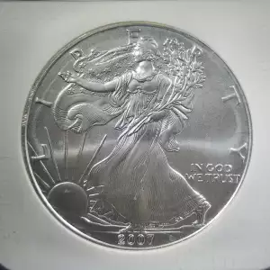 2007 W BURNISHED SILVER EAGLE 